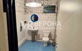 5-� ��������, 183.00 ��.�., 1/2 ��., �����������, ������ ��.