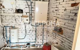 5-� ��������, 183.00 ��.�., 1/2 ��., �����������, ������ ��.