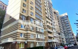 ������, 22.90 ��.�., 3/14 ��., �����������, ����������� ��.