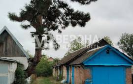 3- , 51.50 .., 1/2 ., ,  .